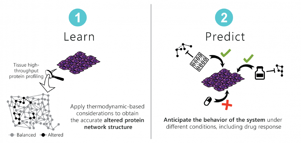 rational design of drug combinations